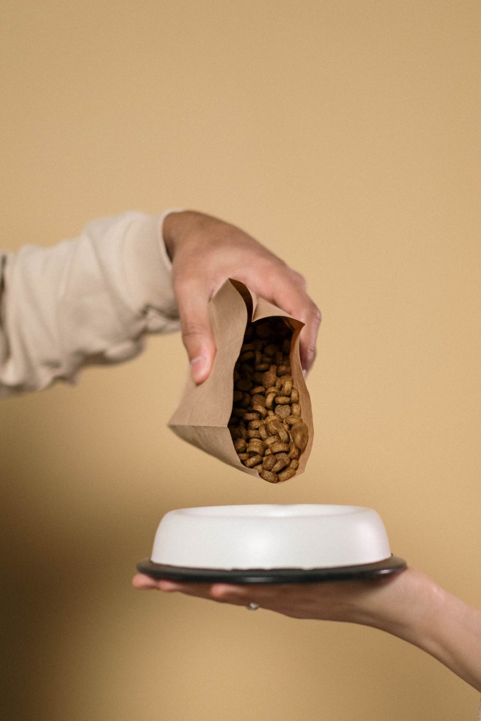 Hand pouring dry dog food from a bag into a white bowl