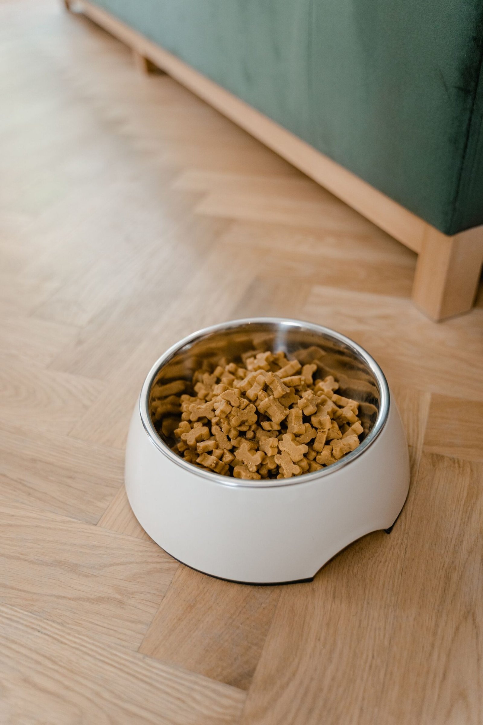A bowl filled with dog food placed on a wooden floor