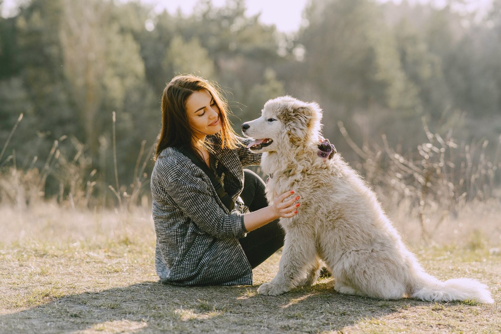 A woman lovingly caressing her fluffy dog in a serene outdoor setting