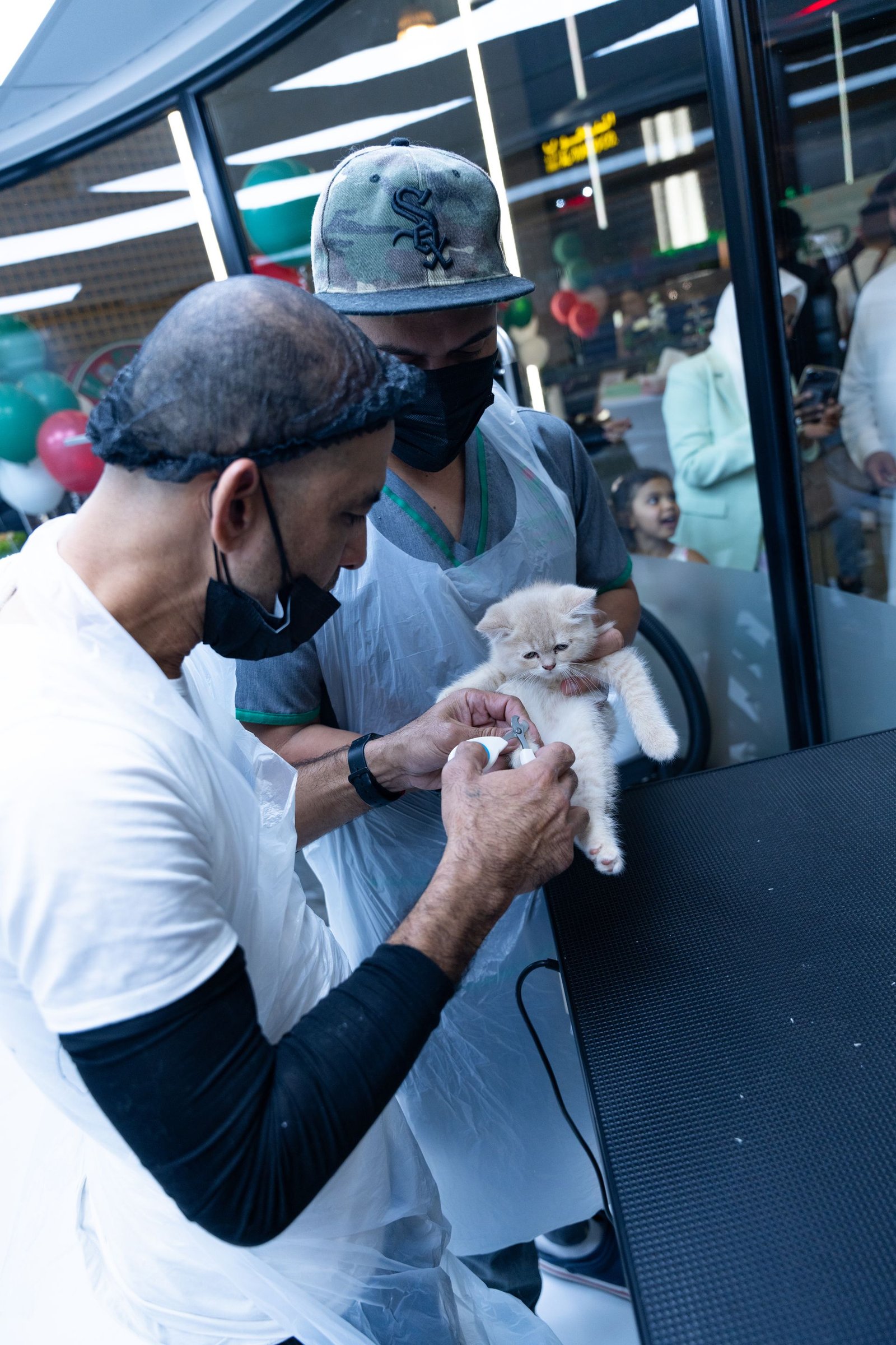 Veterinarians carefully examining a fluffy kitten in a modern clinic