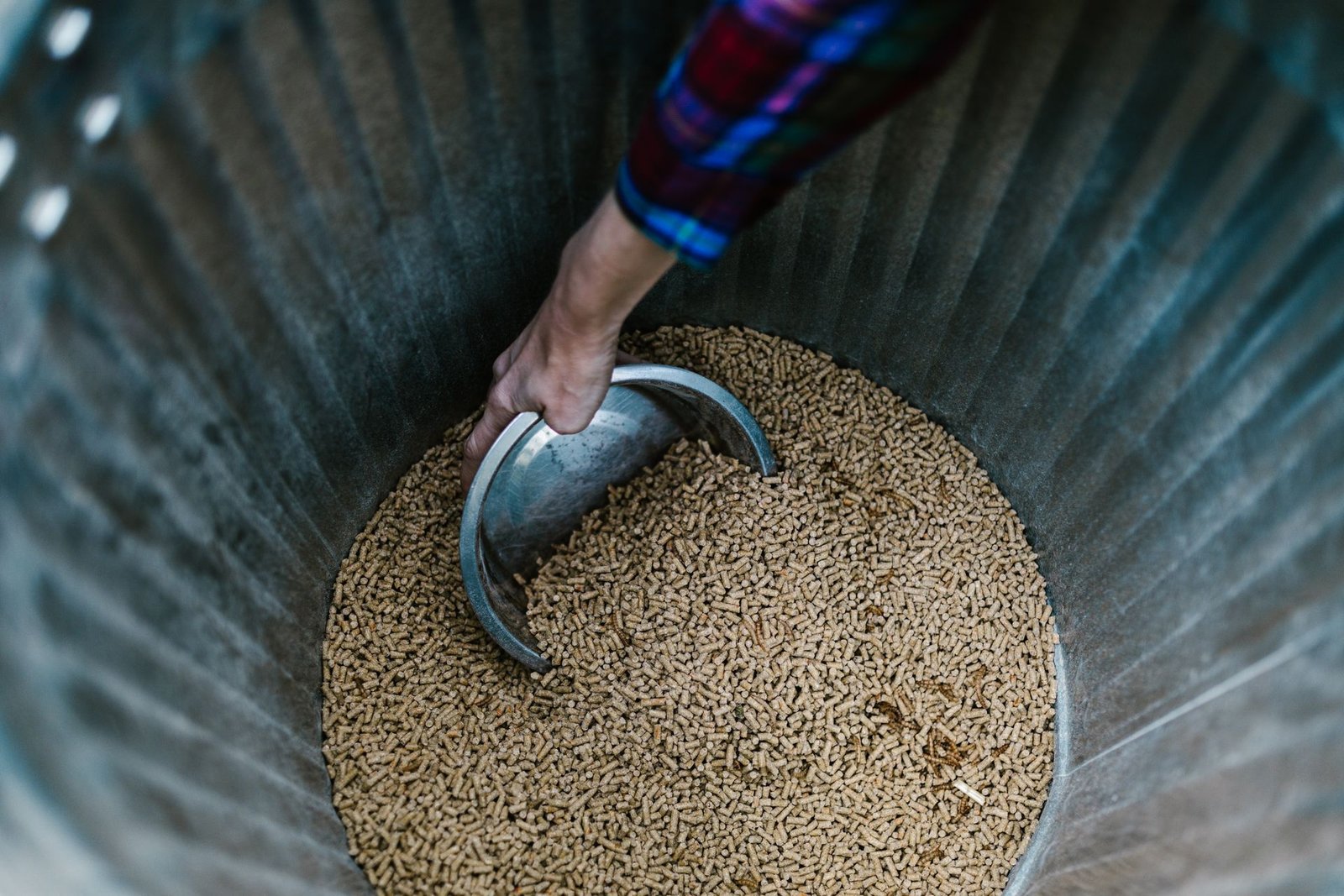 Close-up of a hand scooping pet food from a container