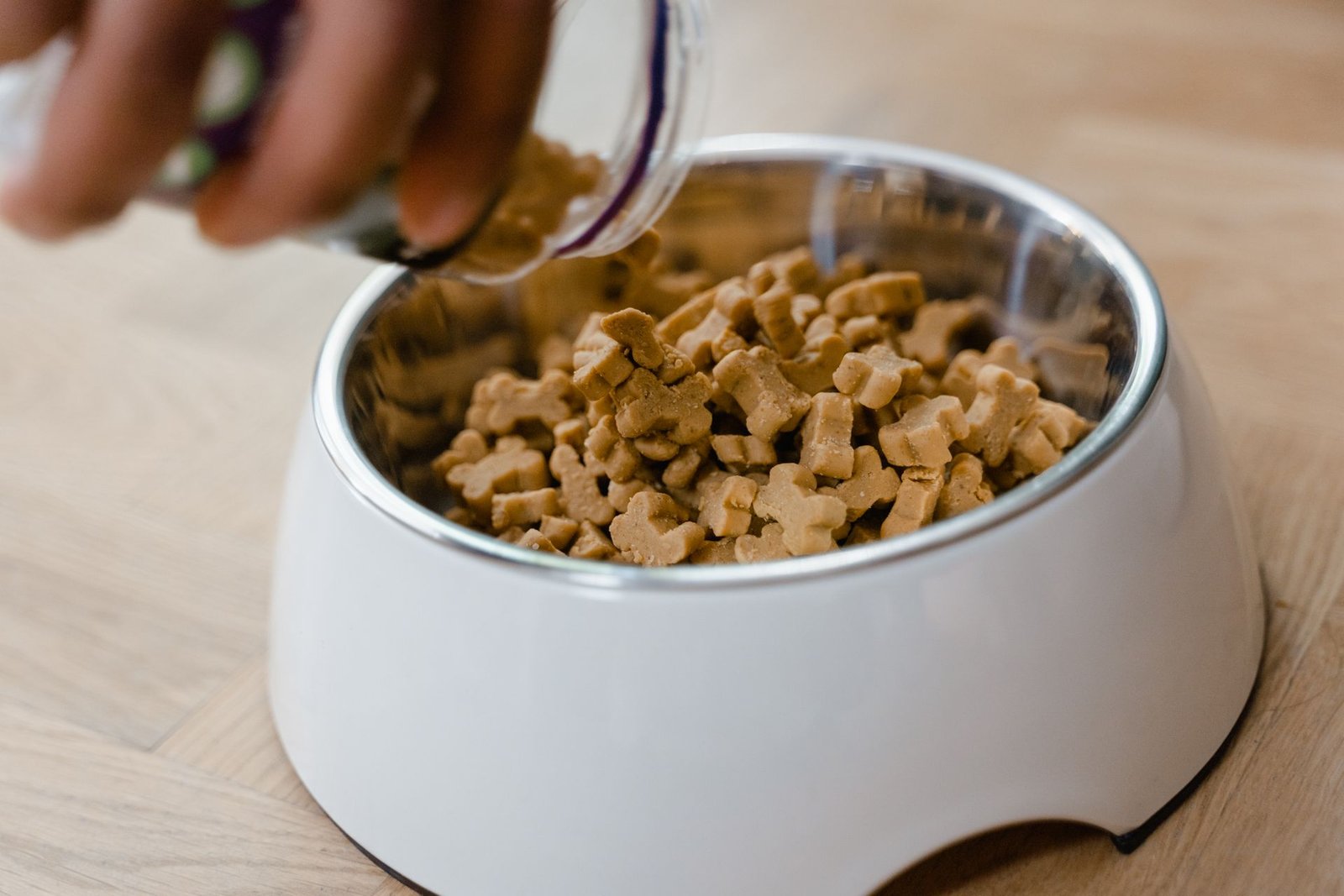 Hand pouring dog biscuits into a stainless steel bowl