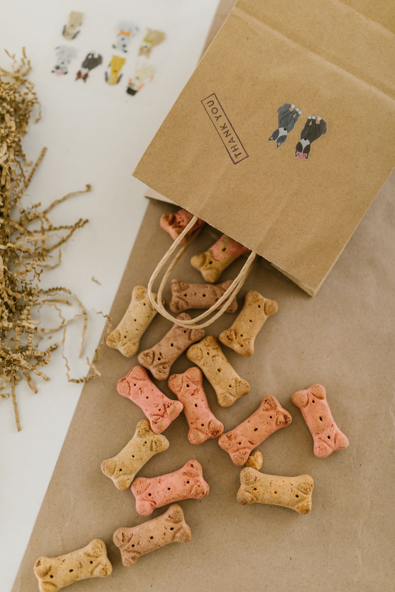 Dog treats spilling from a paper bag