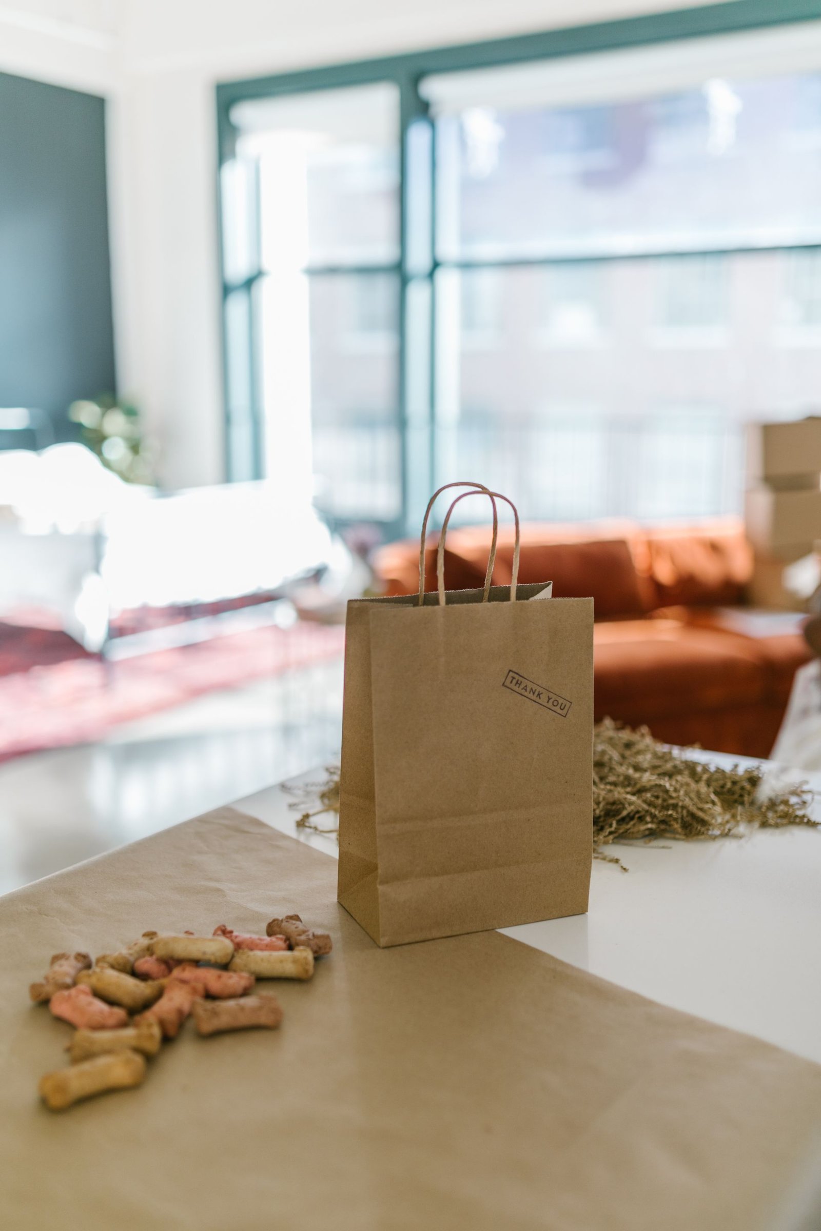 Brown paper bag with dog treats