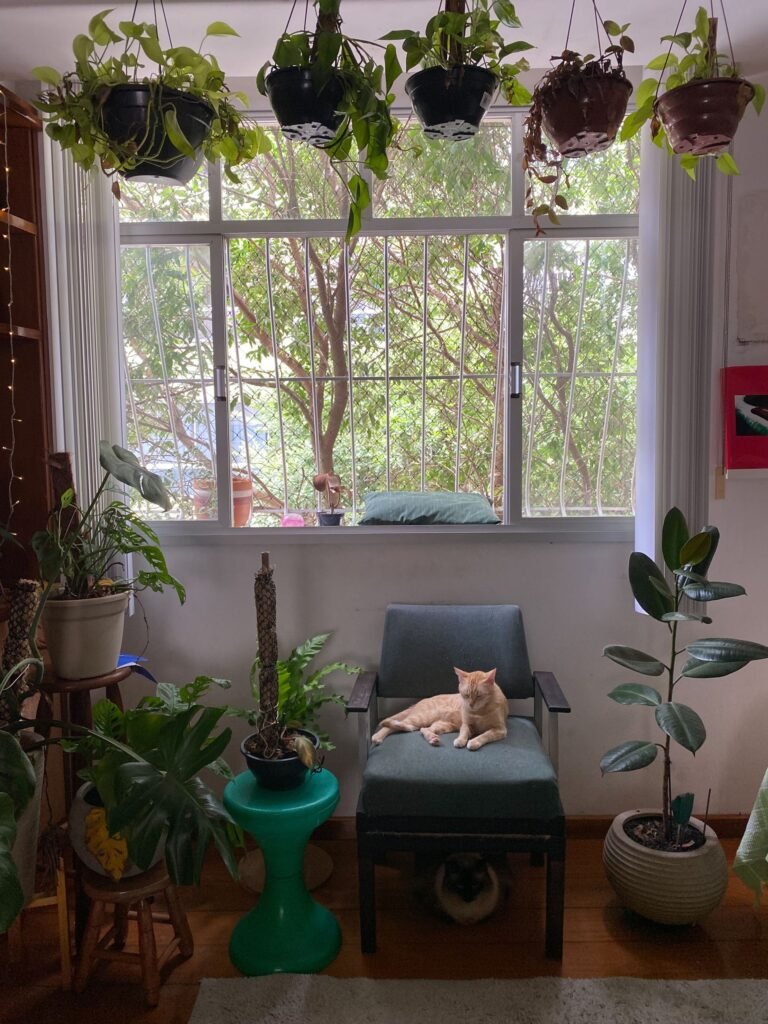 Cat relaxing in a cozy indoor garden