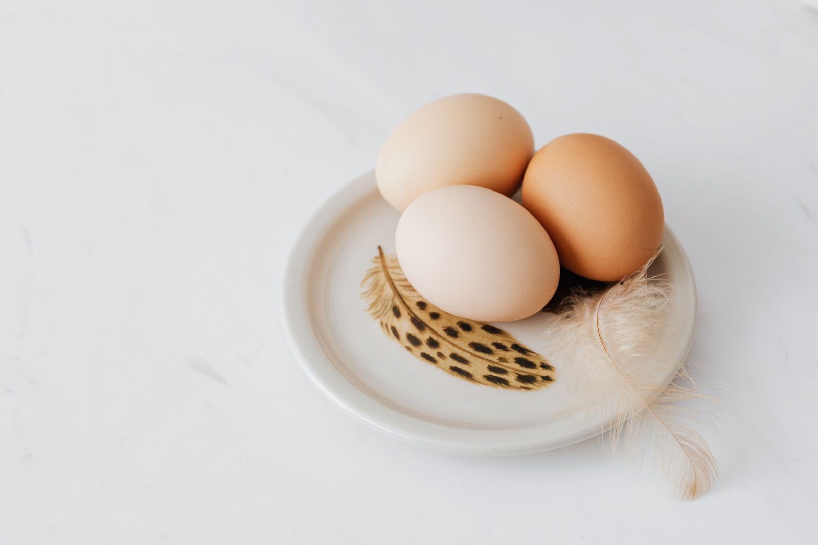 Fresh eggs arranged on a white plate with a feather