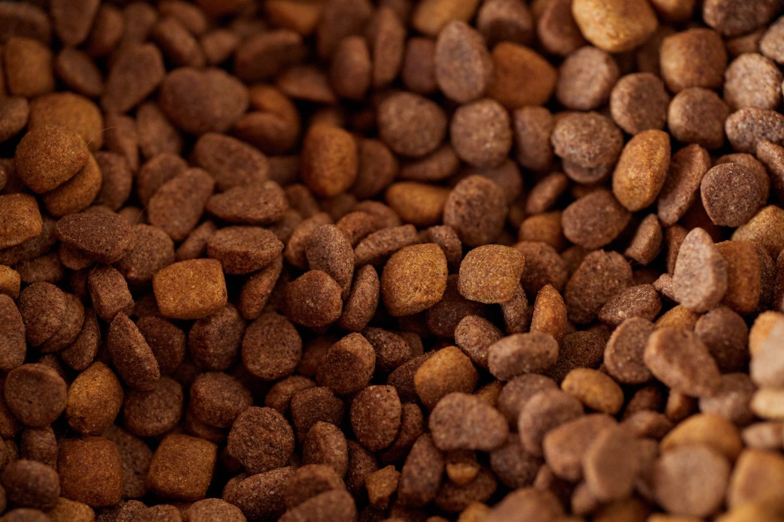 Close-up of brown dry pet food kibble