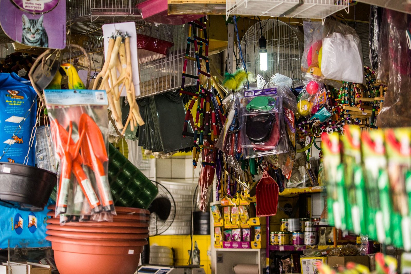 Pet shop interior with toys and supplies