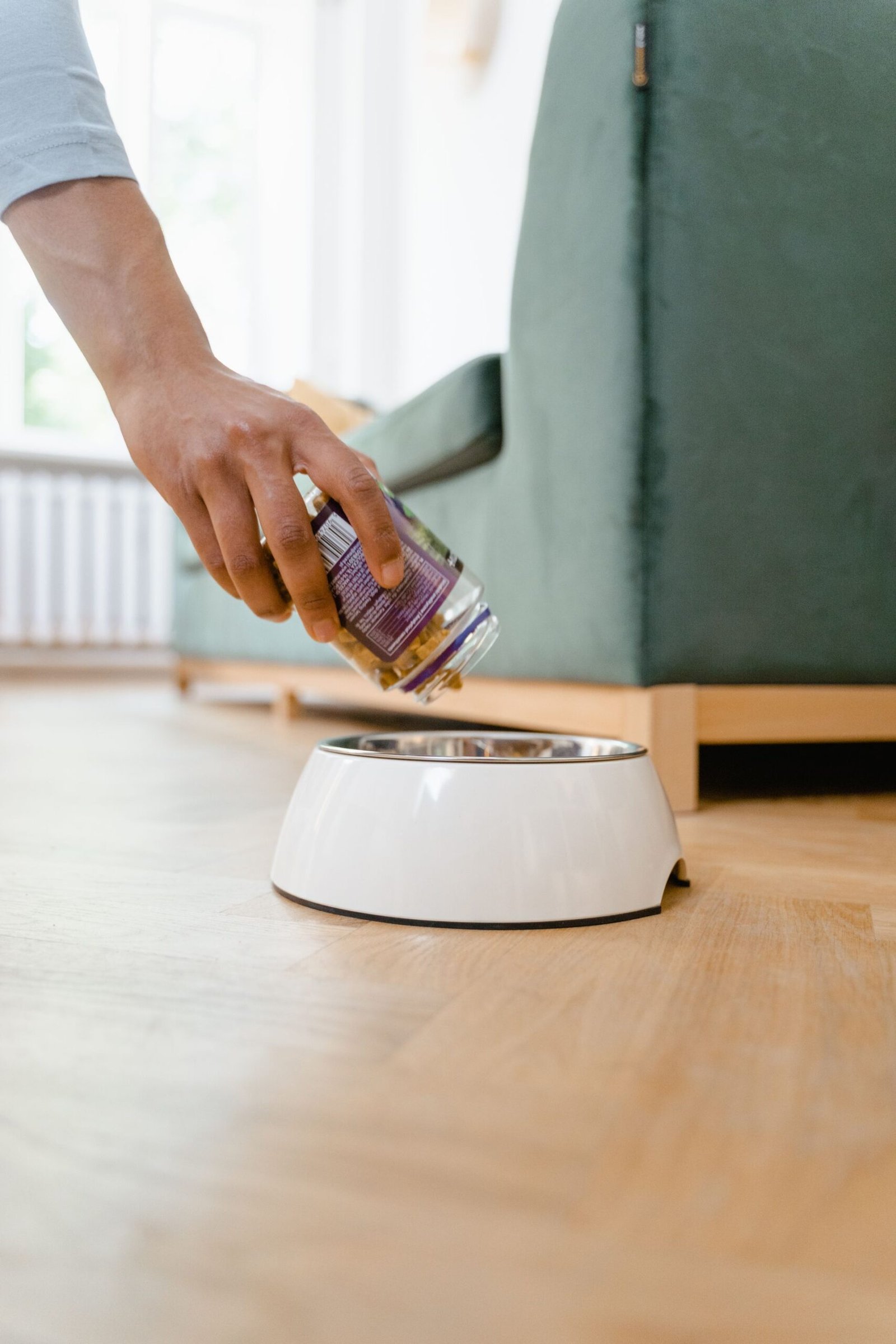 Close-up of a hand pouring pet food into a bowl on a wooden floor
